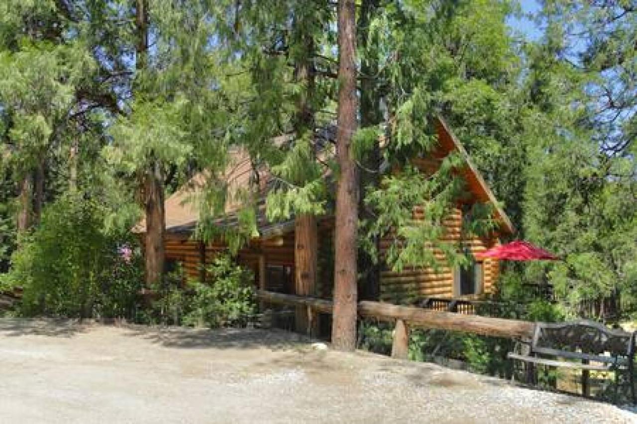 Eagles Nest - Natural Log Cabin With Guest House 爱德怀 外观 照片